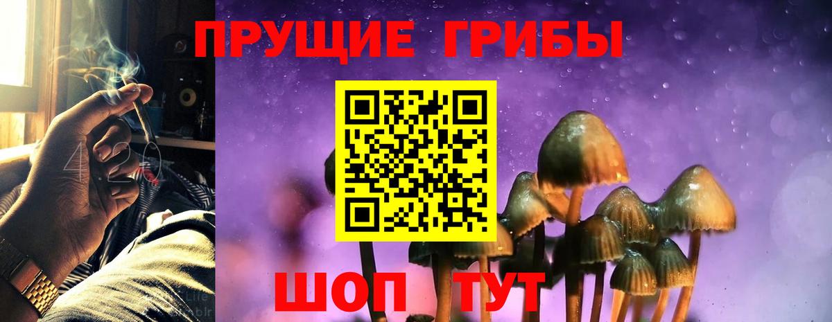 Семилуки  Псилоцибиновые грибы MAGIC MUSHROOMS  купить   Вход с VPN 